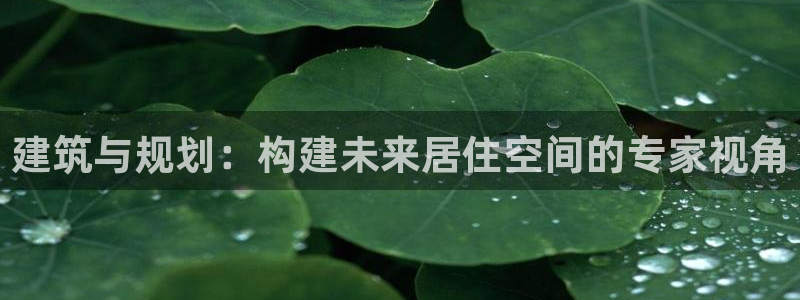狗子28简介图片