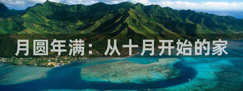 狗子28管理集团怎么样