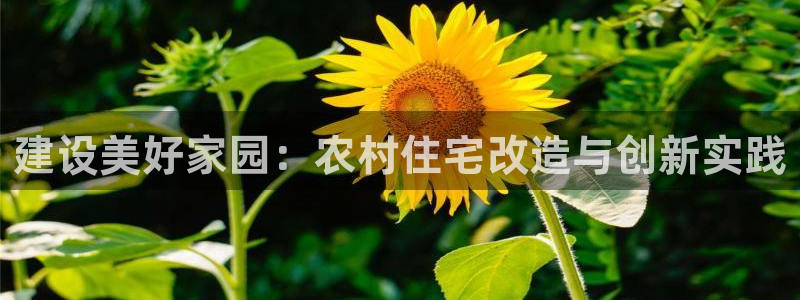 狗子28理财logo