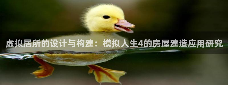 吉林狗子28